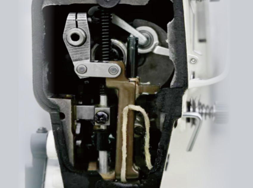 头部无油，无油无虑